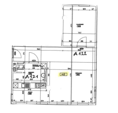 Juniperus - A12