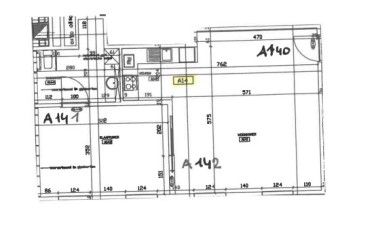 Juniperus - A14