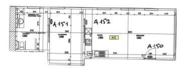 Juniperus - A15
