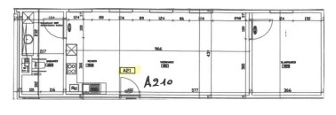 Juniperus - A21