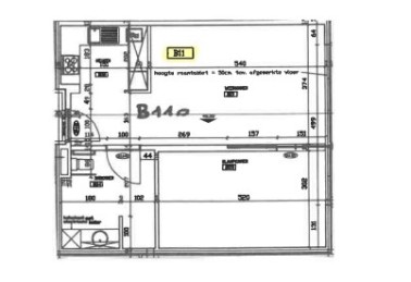 Juniperus - Flat B11