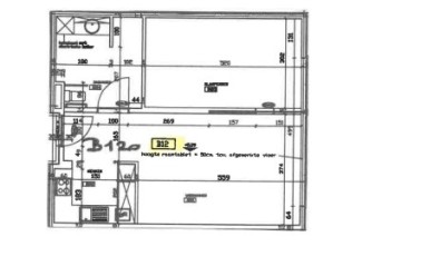 Juniperus - Flat B12