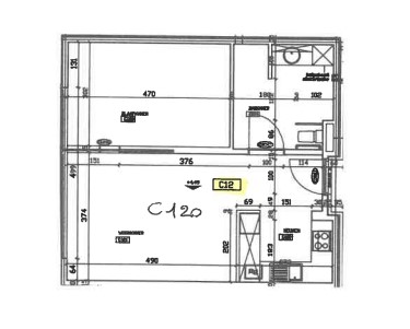 Juniperus - Flat C12