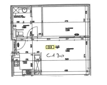 Juniperus - Flat C13