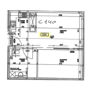 Juniperus - Flat C14