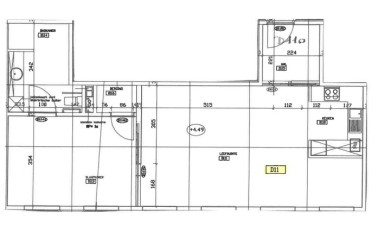 Juniperus - Flat D11