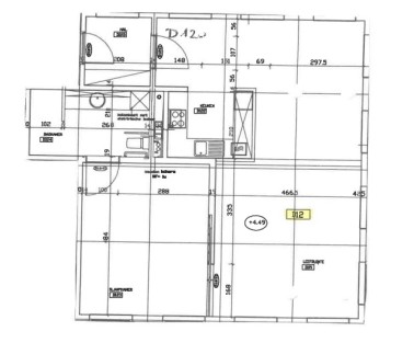 Juniperus - Flat D12