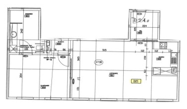 Juniperus - Flat D21